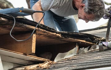 common causes of Pig Oak fascia damage